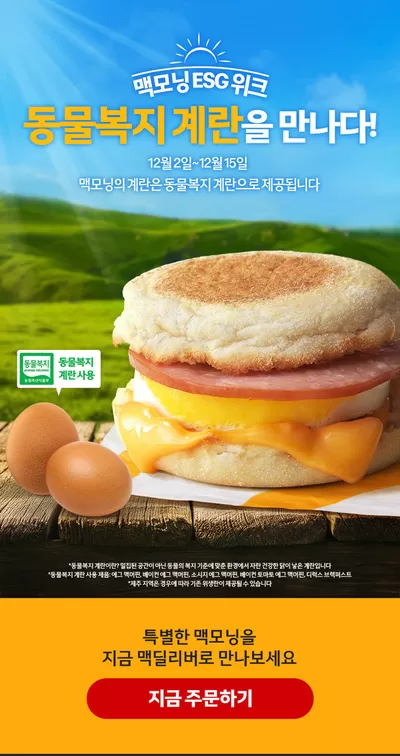 군포시의 맛집·카페 할인 정보 | 맥도날드 맥모닝 ESG 위크 | 2024. 12. 3. - 2024. 12. 15.